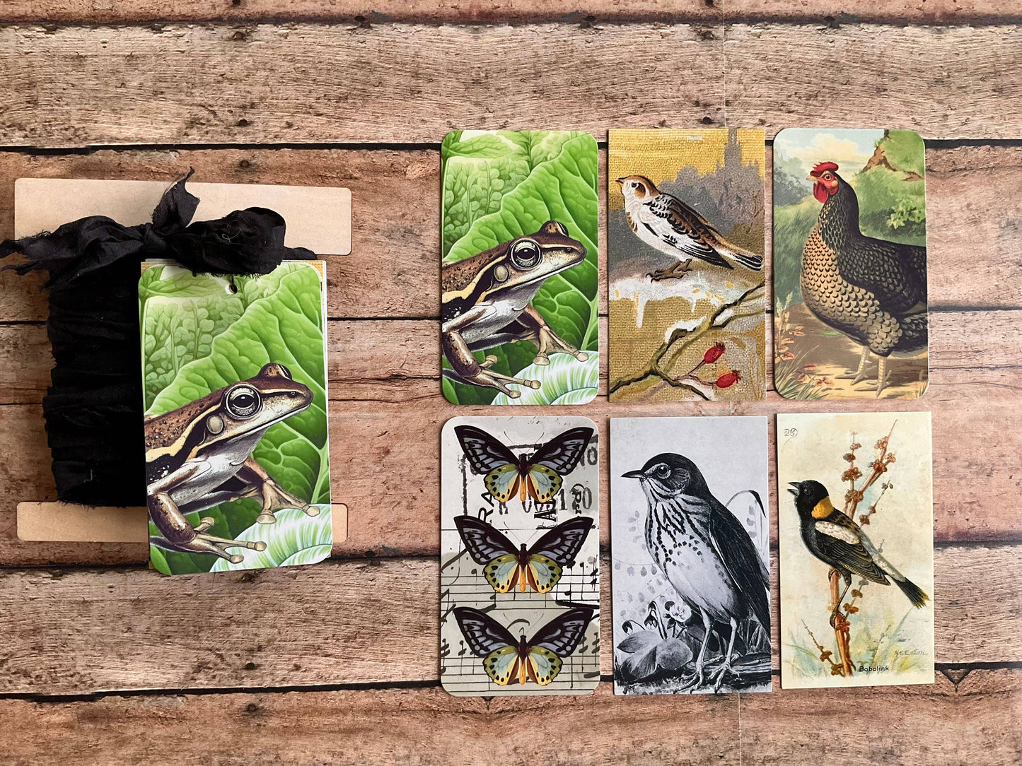 Gift Wrap Set - Black Frog
