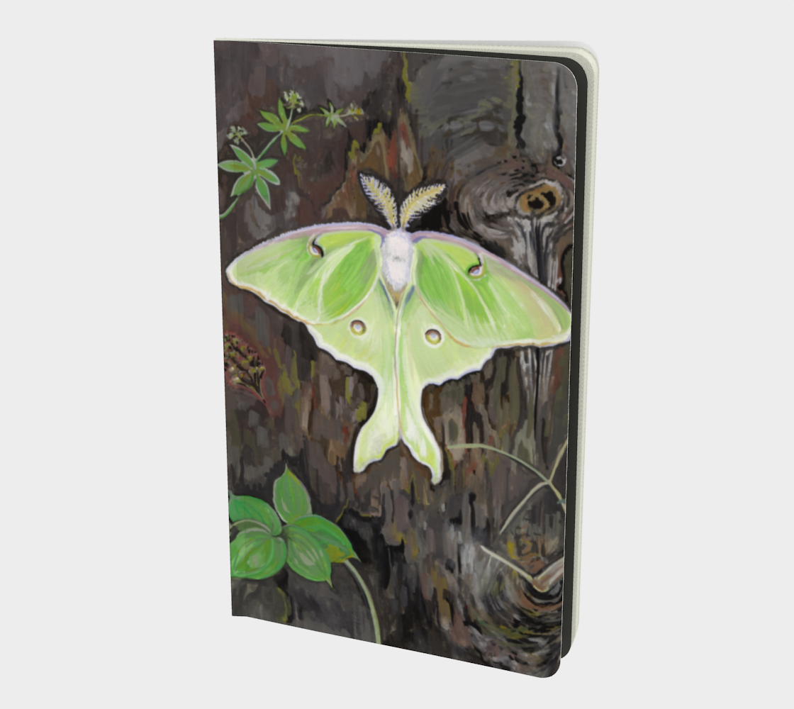 Luna Notebook