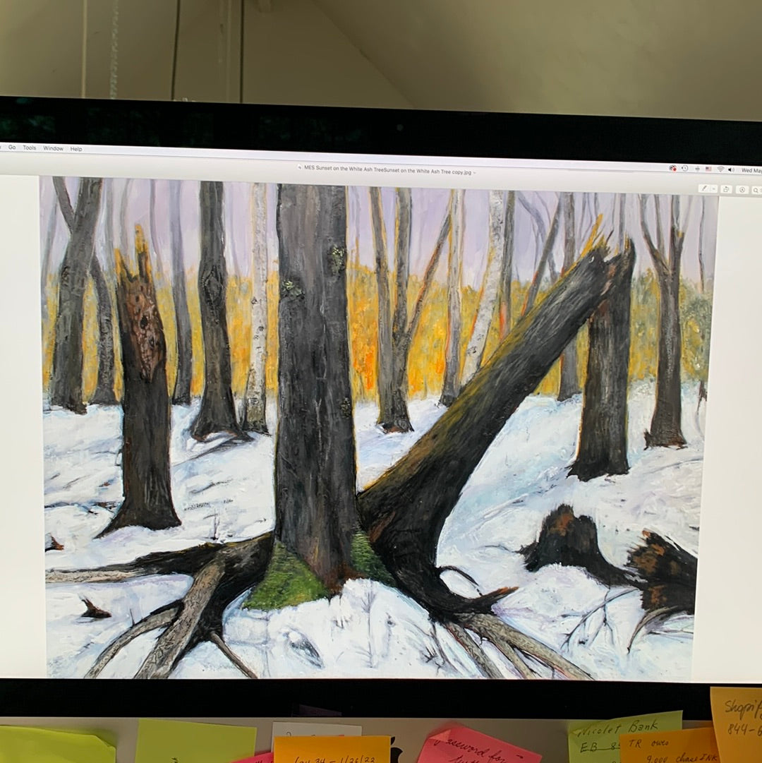 MES Art - Water Soluble Encaustic