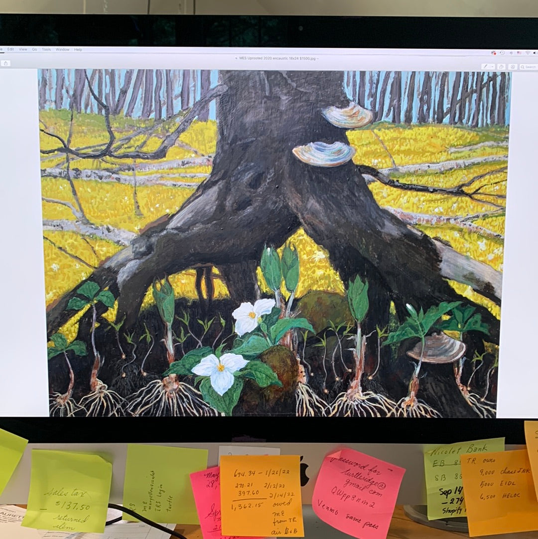 MES Art - Water Soluble Encaustic