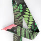SKINNY SILK SCARF | Gentle Fern