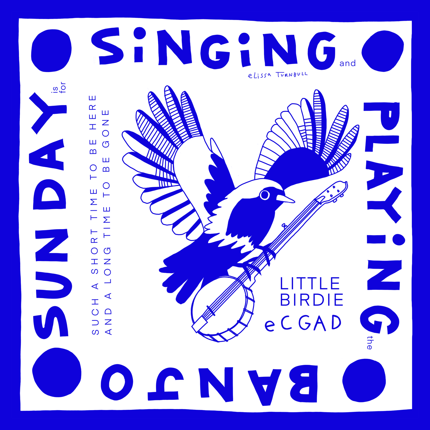 Voyager Scarf - Little Birdie