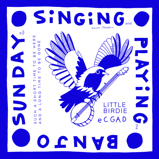Voyager Scarf - Little Birdie