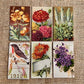 Gift Wrap Set - ZINNIA