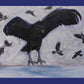 Art Scarf - "An Unkindness (Of Ravens)"