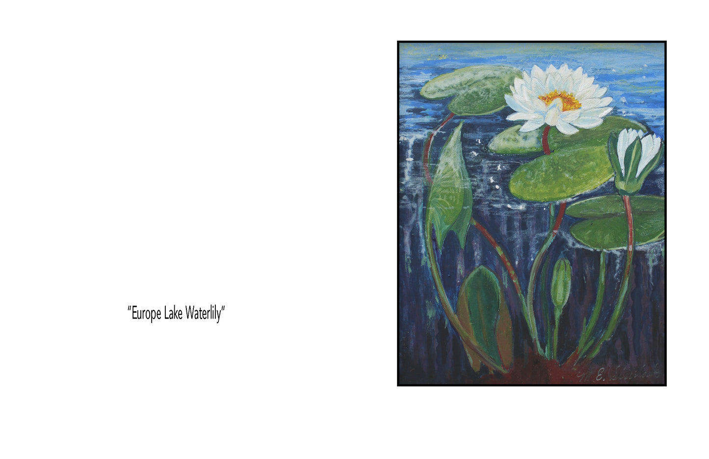 Notecards "Flowers and Berries"