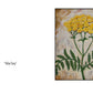Notecards "Flowers and Berries"