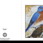 Notecards "Our Birds"