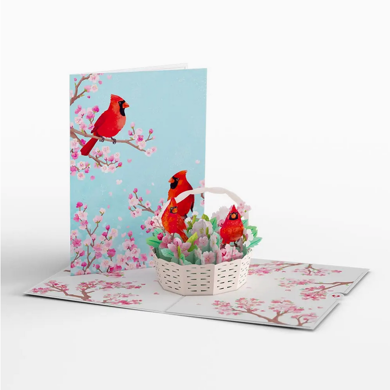 Love Pop Cards