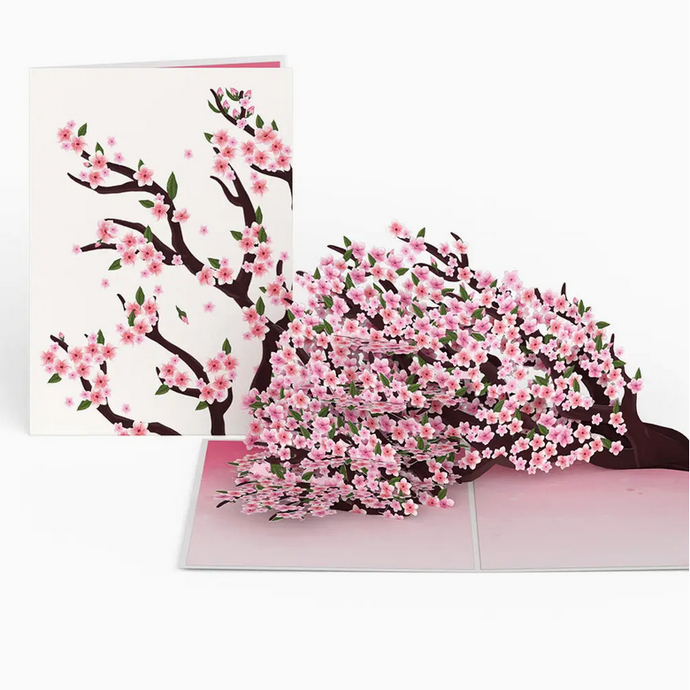 Love Pop Cards
