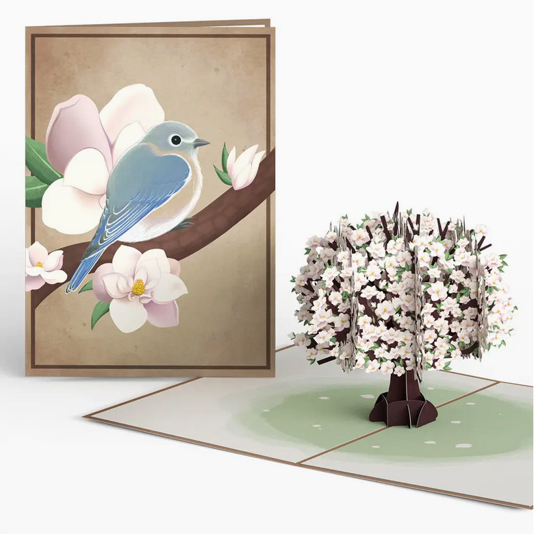 Love Pop Cards