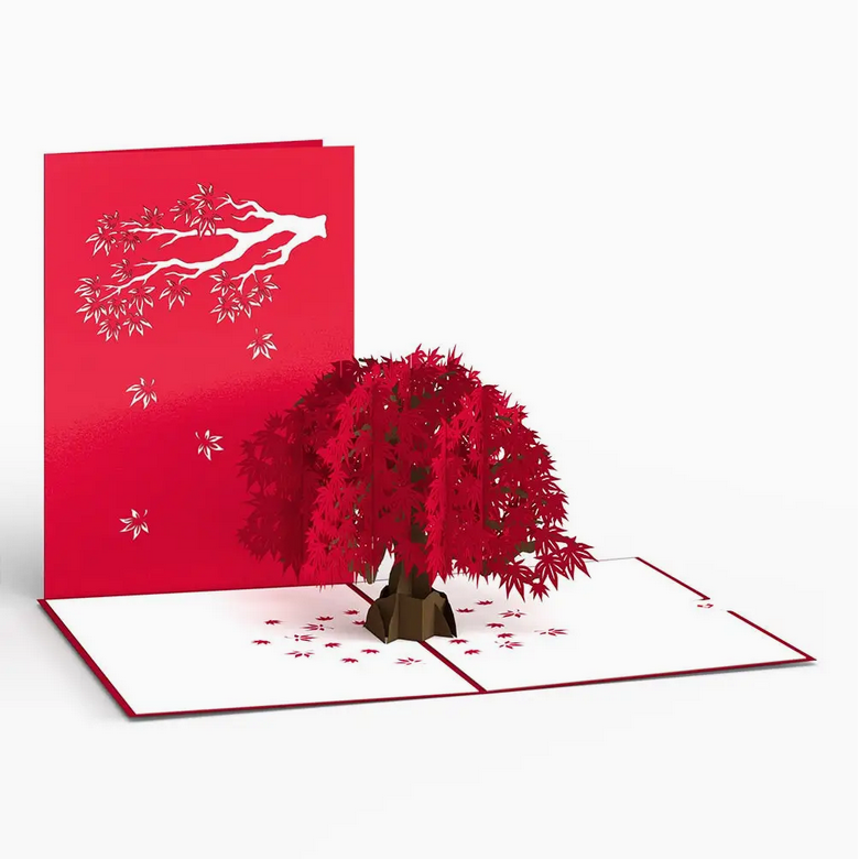 Love Pop Cards