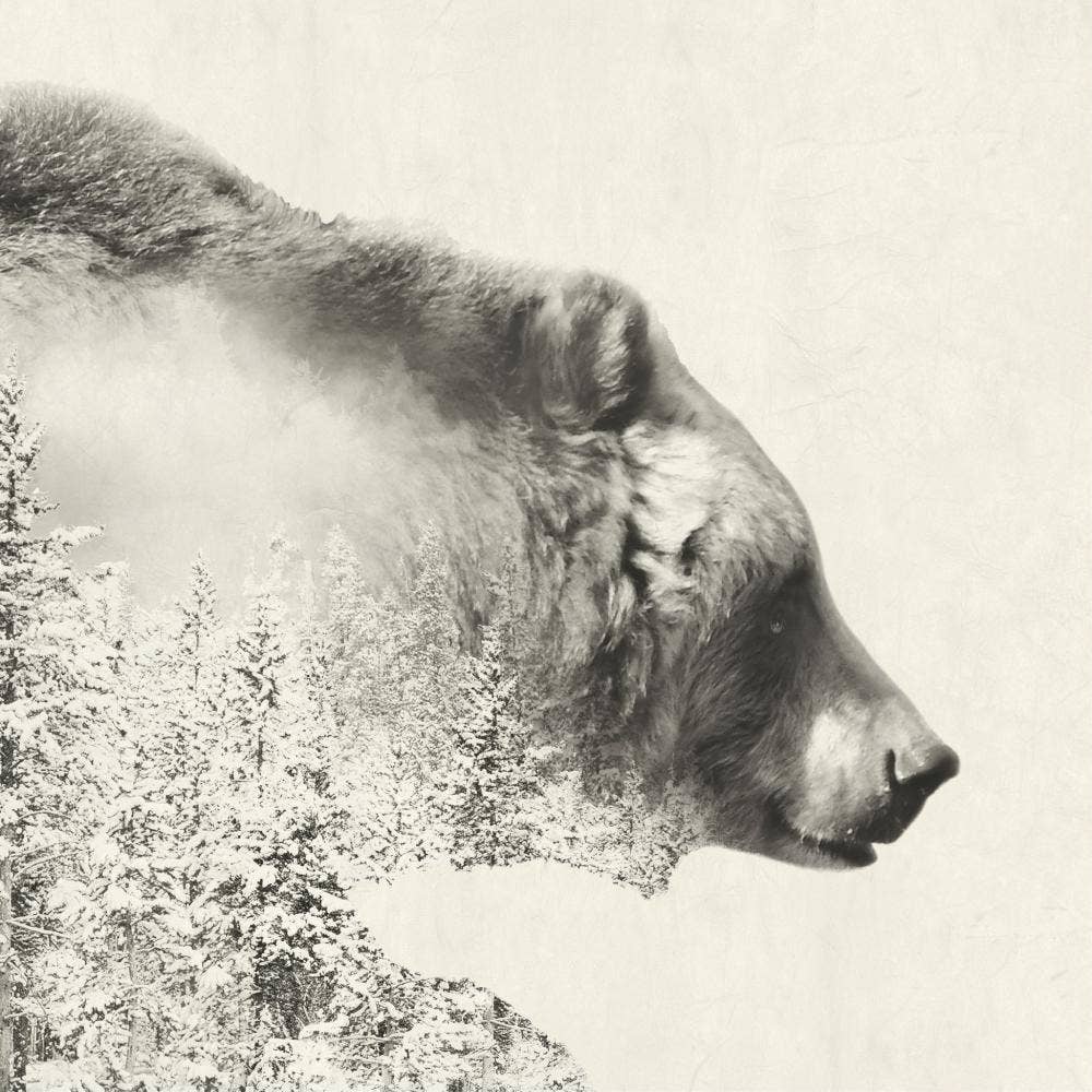 MAJESTIC BEAR Napkin