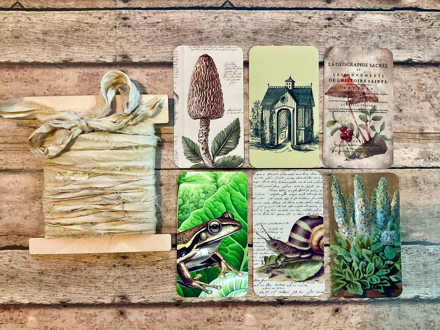 Gift Wrap Set - BUTTERMILK, Garden