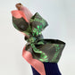 SKINNY SILK SCARF | Gentle Fern