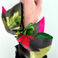 SKINNY SILK SCARF | Secret Peony Garden