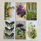 Gift Wrap Set - IVY