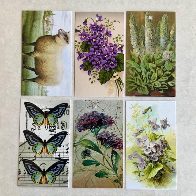 Gift Wrap Set - IVY