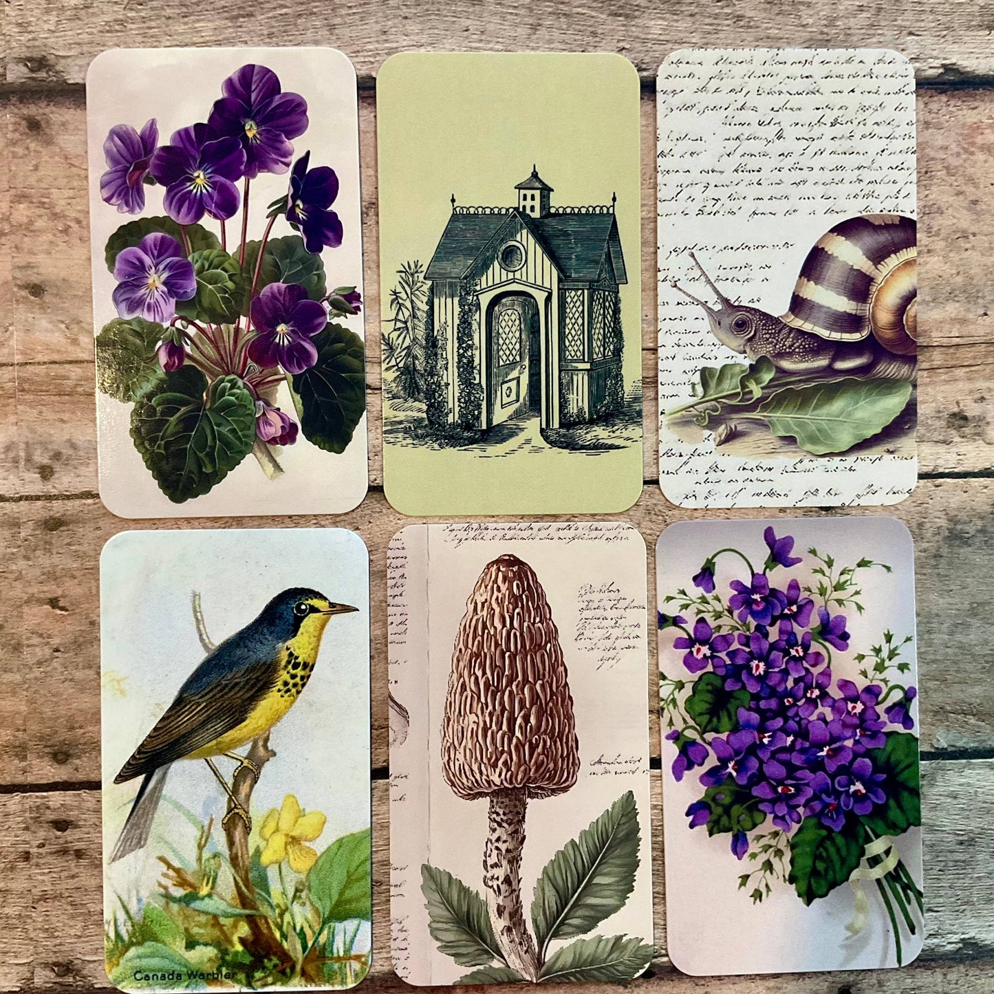Gift Wrap Set - PLUM Vintage Violets