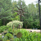 Wind Bells