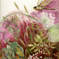 Greeting Cards - Turtle Ridge Gallery