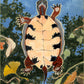 Greeting Cards - Turtle Ridge Gallery