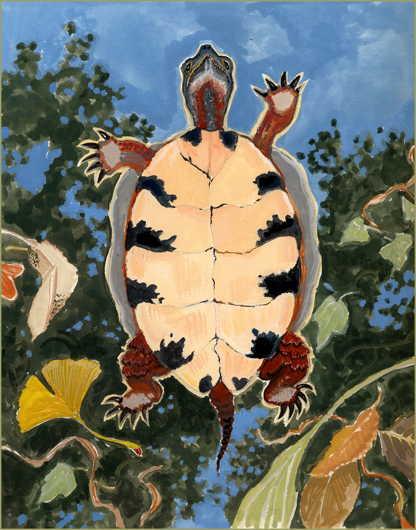 Greeting Cards - Turtle Ridge Gallery