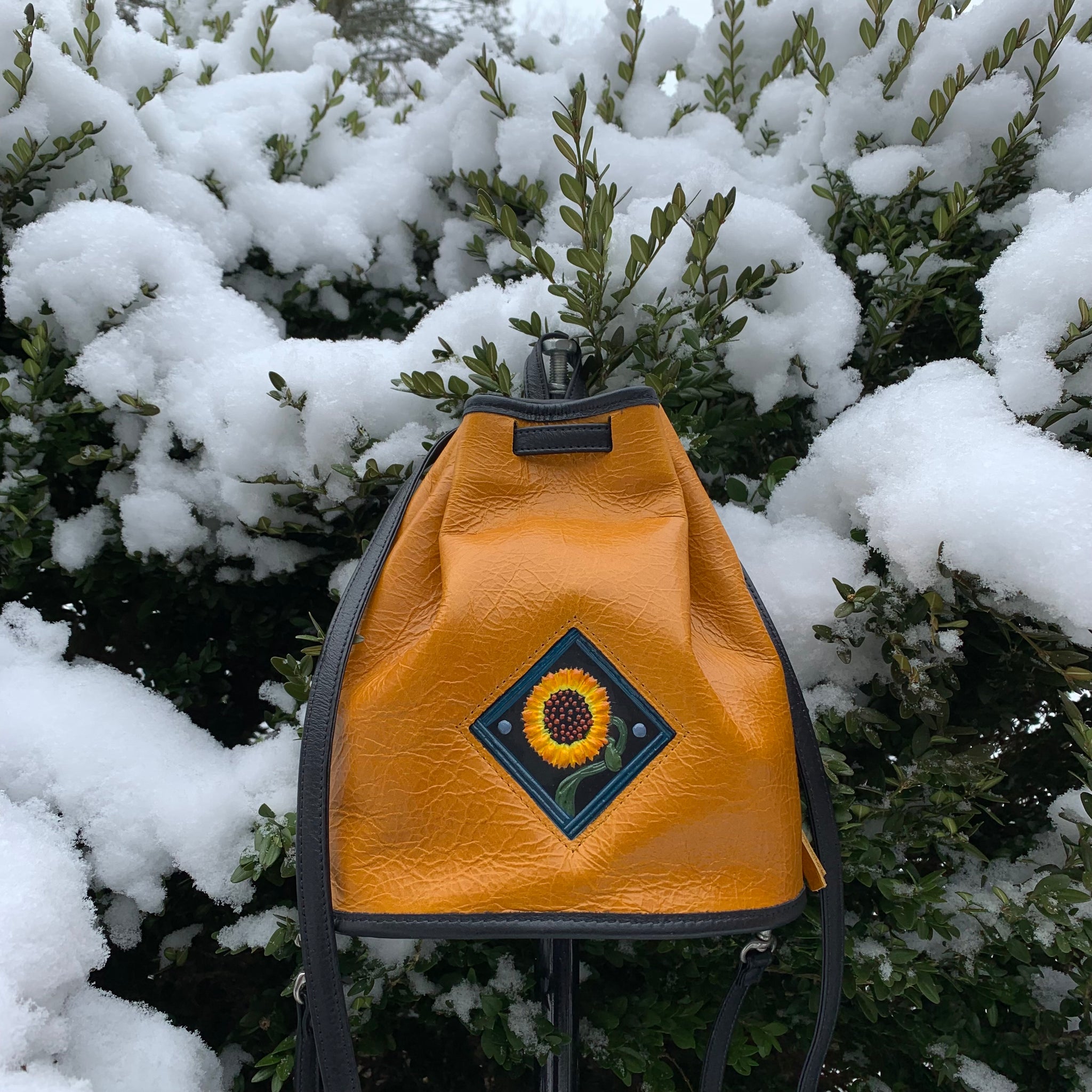 Mini Pack – Turtle Ridge Gallery